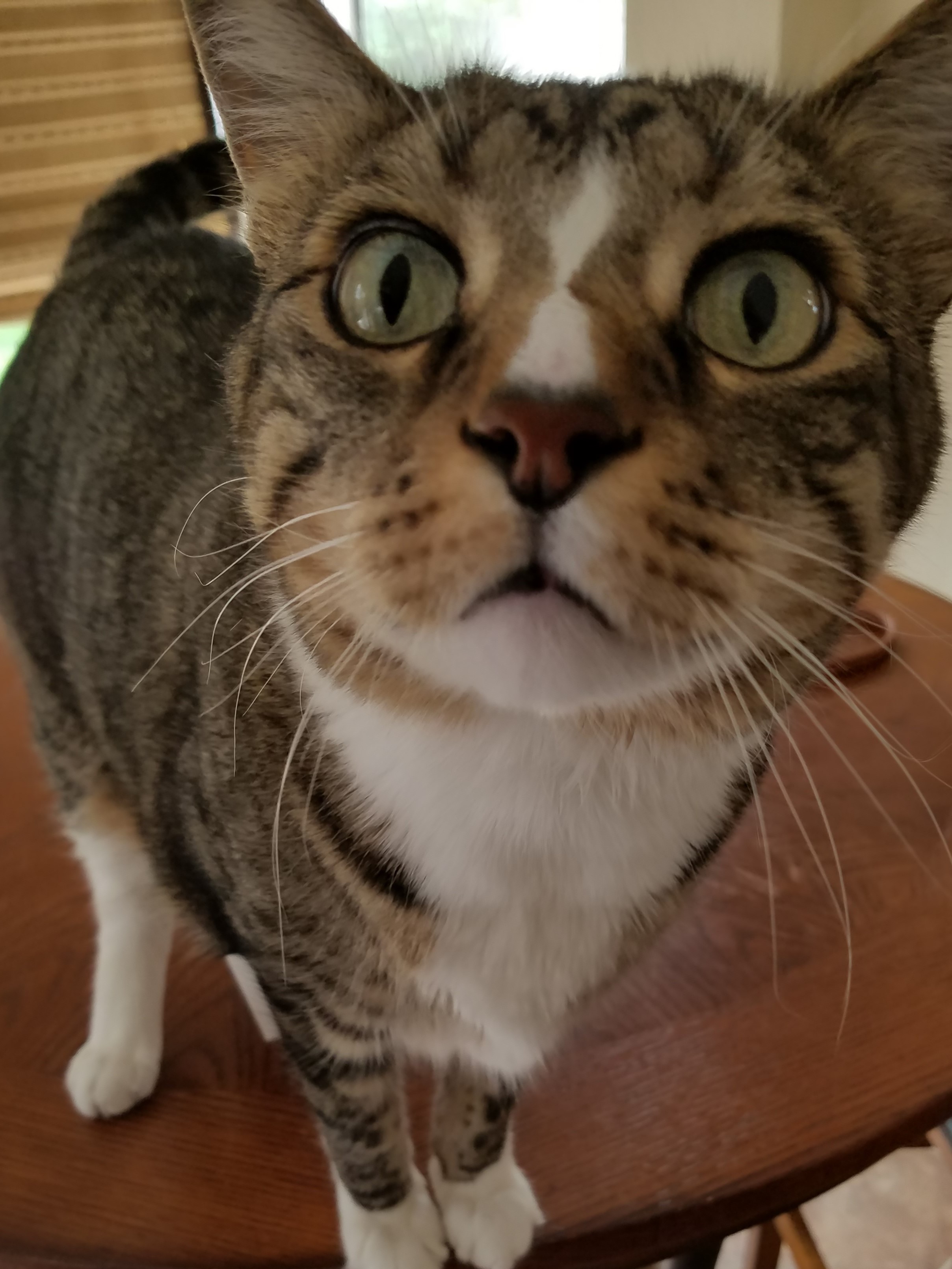  17